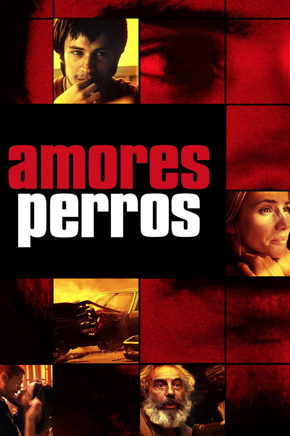Amores Perros (2000) «Criterion Collection» REMUX 1080p Latino