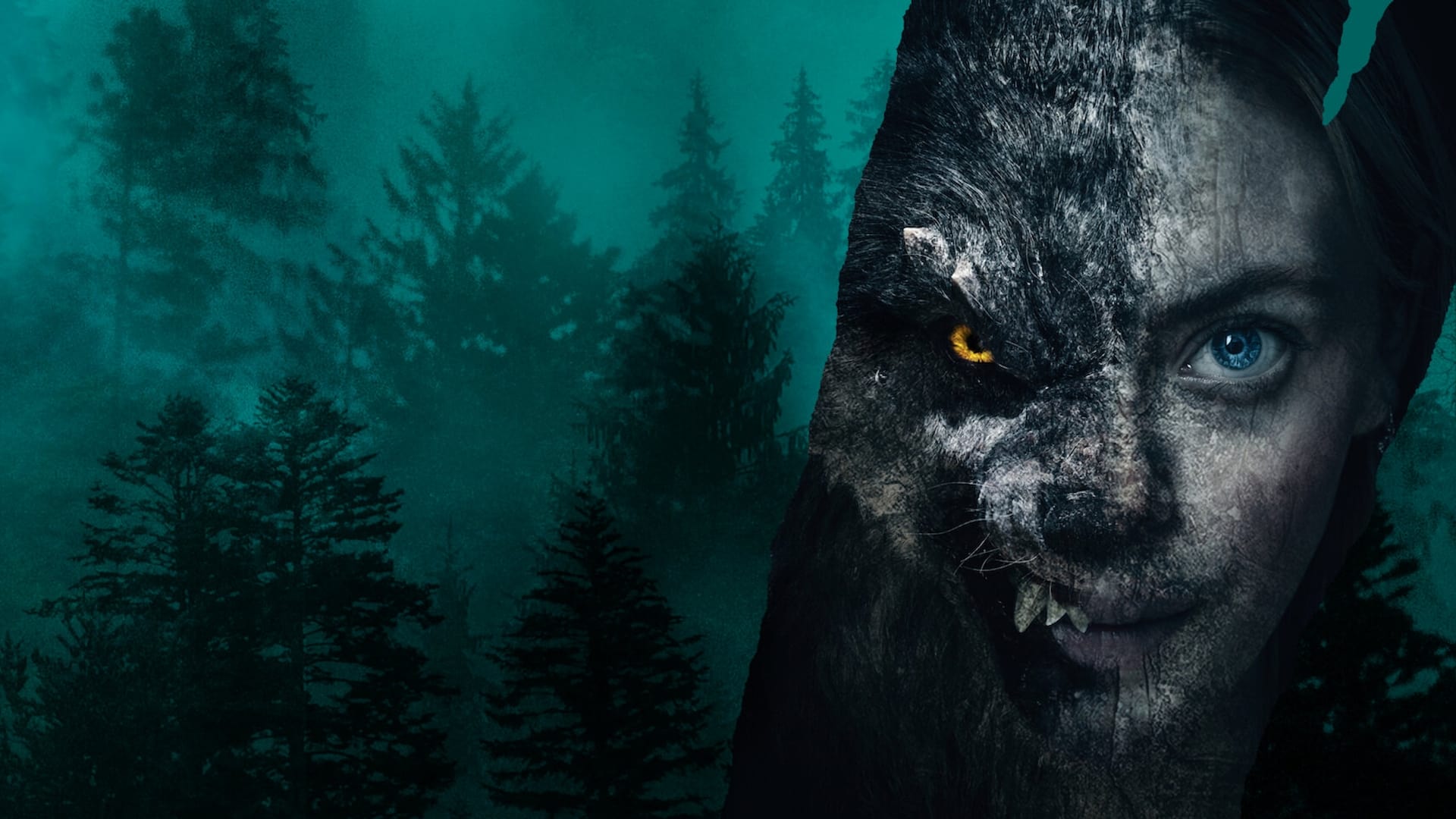 ვიკინგი მგელი | Viking Wolf