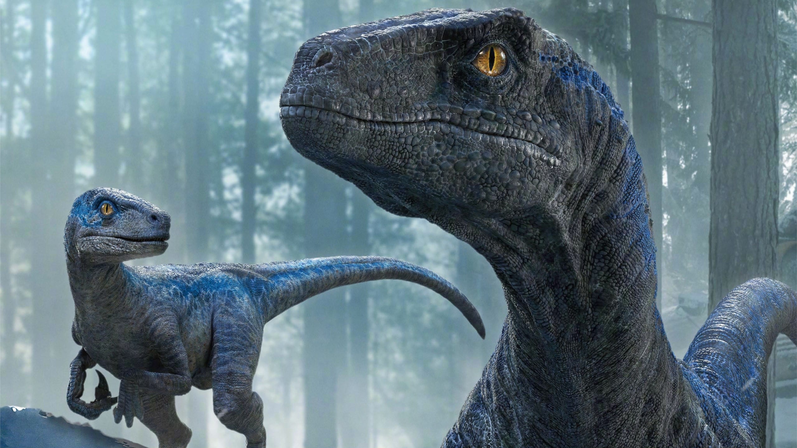 Jurassic World Dominion 2022 Backdrops The Movie Database Tmdb