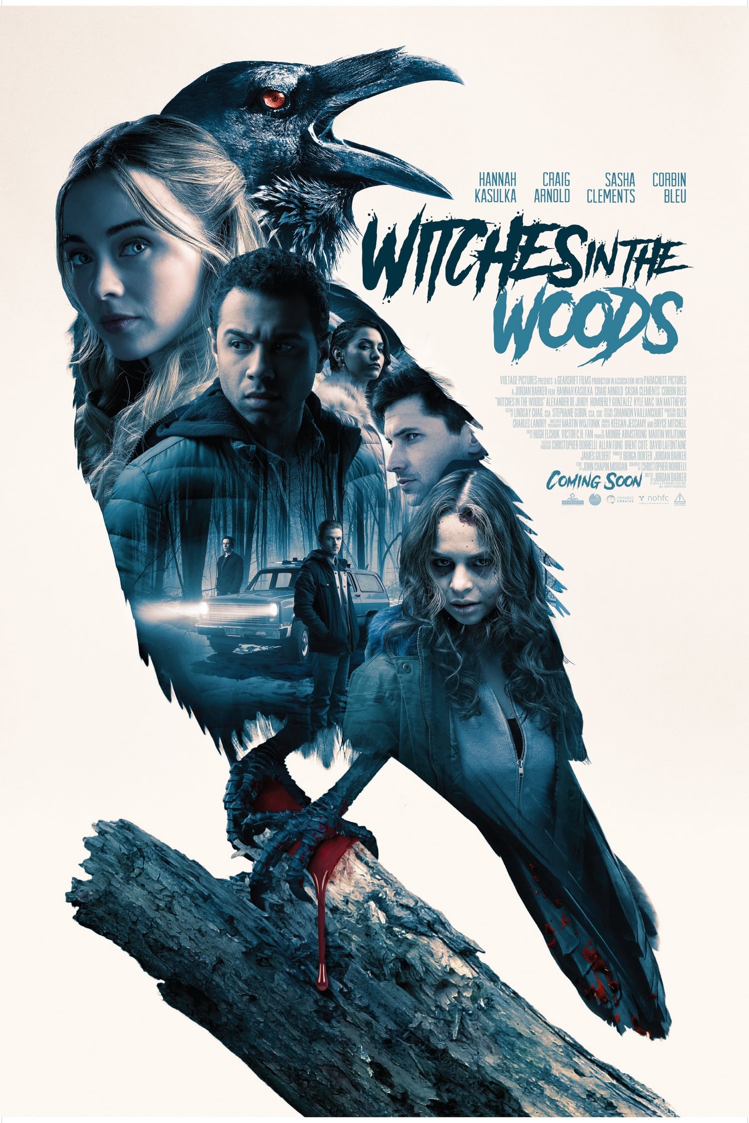 Witches In The Woods (2019) Hindi Dual Audio 720p | 480p BRip x264 Esub