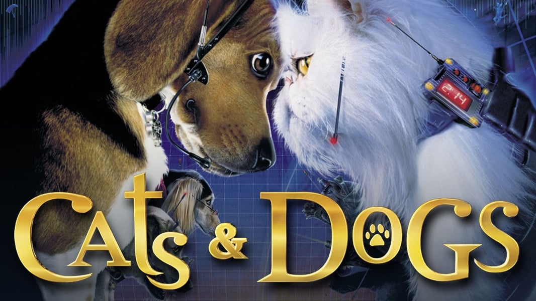 Jako kočky a psi (2001)