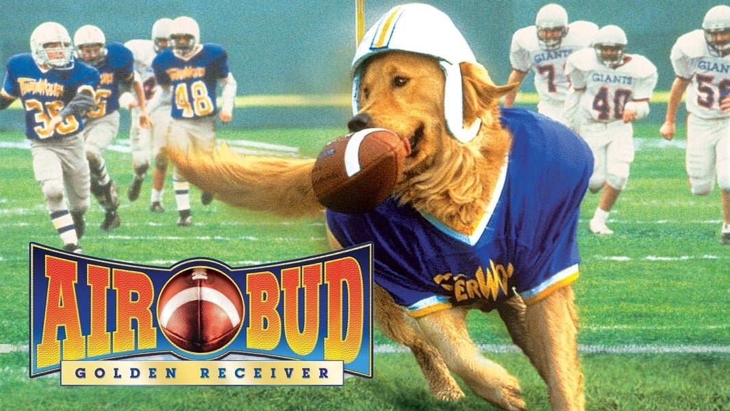 Můj pes Buddy 2 (1998)