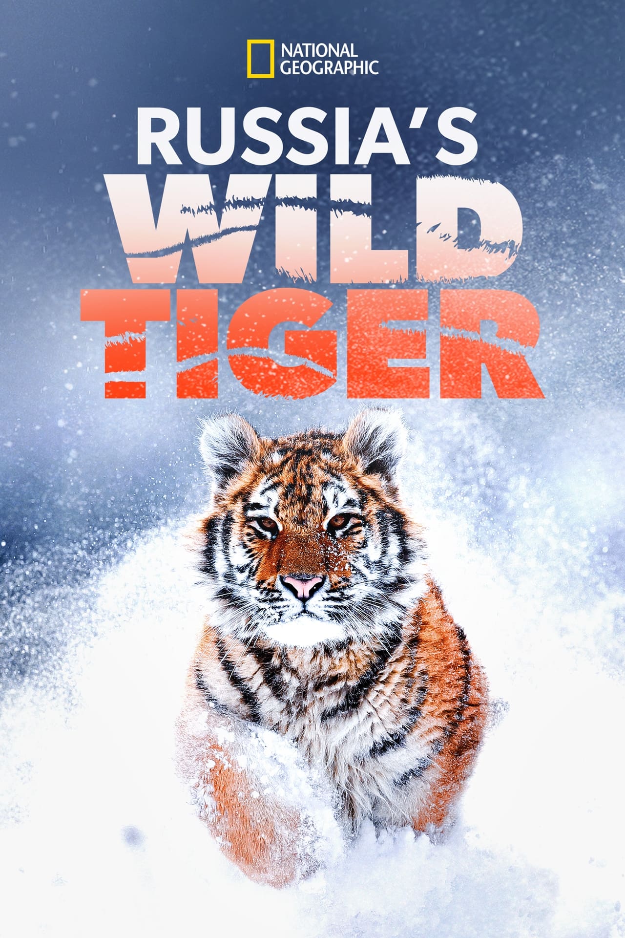 EN - Russia's Wild Tiger (2022)