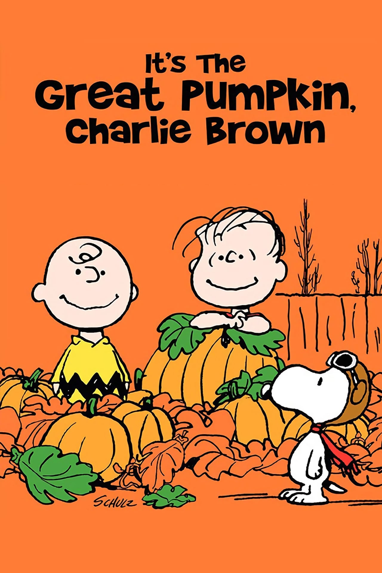 It's the Great Pumpkin, Charlie Brown poster