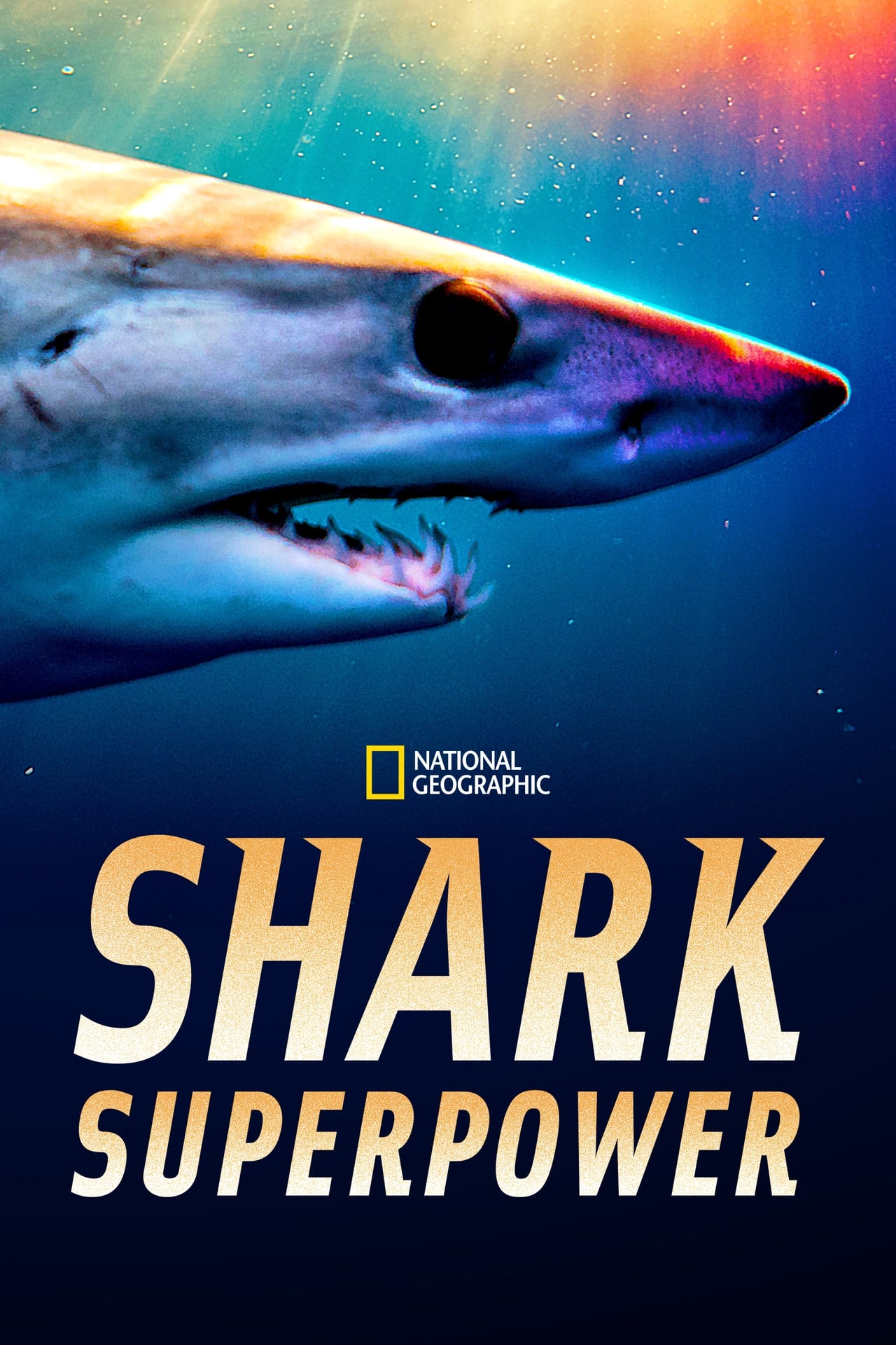 Shark Superpower | awwrated | 你的 Netflix 避雷好幫手!