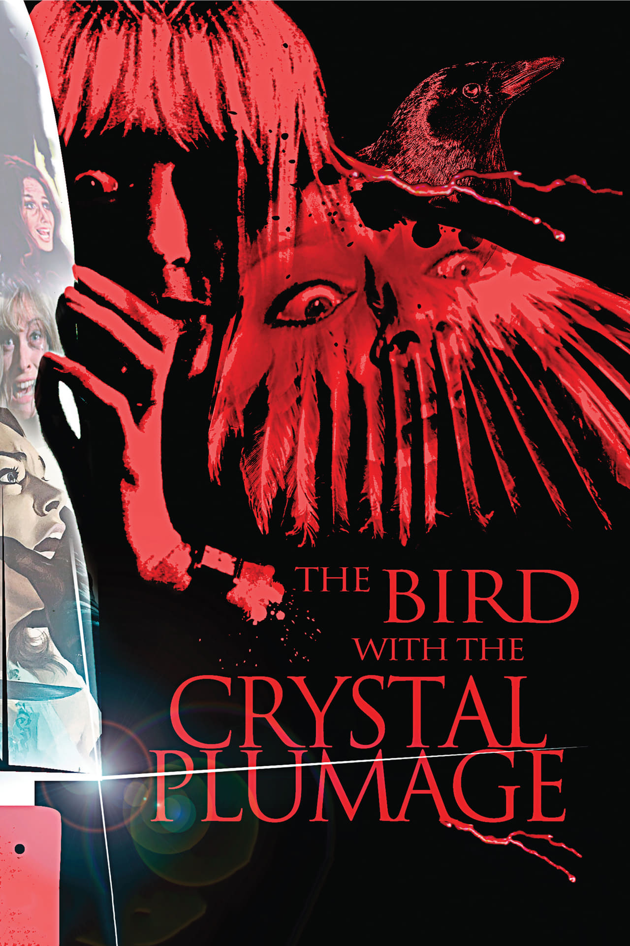 Bird with the Crystal Plumage, The poster
