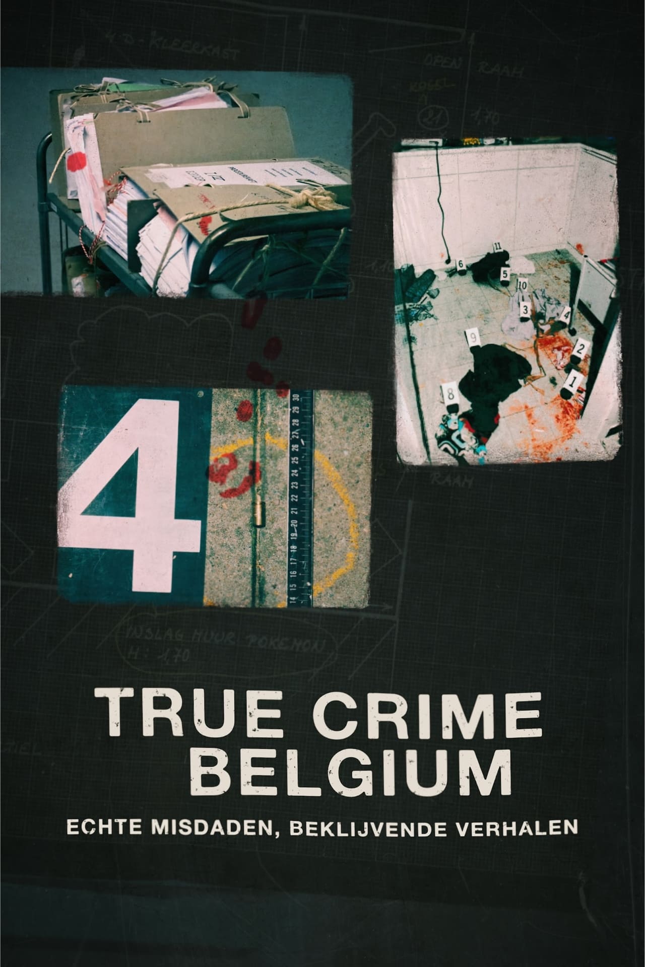 NL - TRUE CRIME BELGIUM (2023)