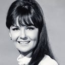 Shelley Fabares Picture