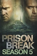 Staffel 5 - Prison Break