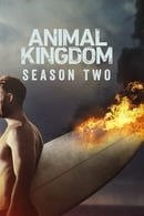 watch serie Animal Kingdom Season 2 HD online free