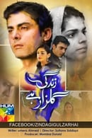 Season 1 - Zindagi Gulzar Hai