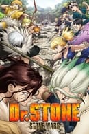 Stone Wars - Dr. Stone