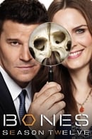 Season 12 - The Final Chapter - Bones
