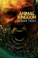 watch serie Animal Kingdom Season 3 HD online free