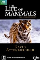 Season 1 - The Life of Mammals