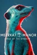 Season 1 - Meerkat Manor: Rise of the Dynasty