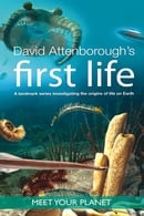Miniseries - First Life