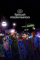 Flatbush Misdemeanors Season 2 tv show online