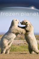 Miniseries - Frozen Planet