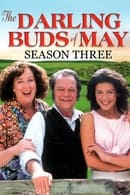 Season 3 - The Darling Buds of May