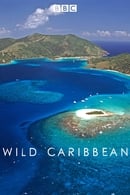Series 1 - Wild Caribbean