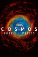 Possible Worlds - Cosmos