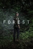 Season 1 - The Forest
