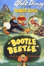 Bootle Beetle