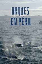 Orques en peril