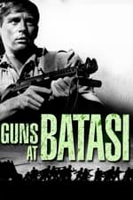 Guns at Batasi