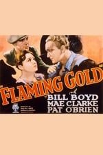 Flaming Gold