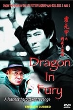 Dragon in Fury