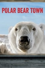 Polar Bear Town