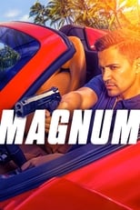 Magnum Saison 4
