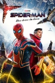 Podgląd filmu Spider-Man: Bez Drogi do Domu