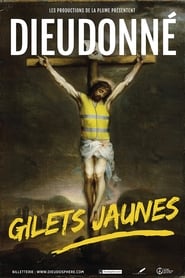 film Dieudonné Gilets Jaune streaming