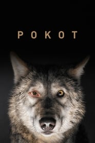 Podgląd filmu Pokot