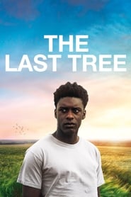 The Last Tree en streaming