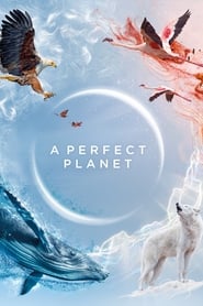 Podgląd filmu A Perfect Planet