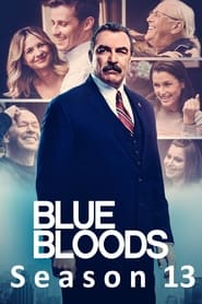 Blue Bloods saison 13