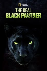 Podgląd filmu The Real Black Panther