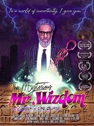 The Mysterious Mr. Wizdom online HD