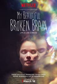My Beautiful Broken Brain en streaming