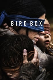 Bird Box en streaming