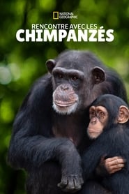 Rencontre avec les Chimpanzés saison 1