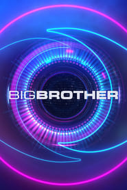 Podgląd filmu Big Brother