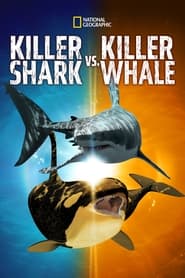 Killer Shark Vs. Killer Whale