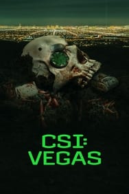 CSI: Vegas Saison 1
