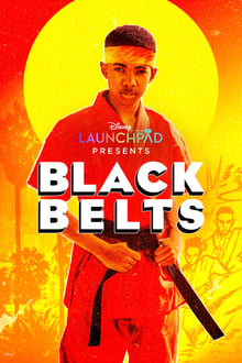 Black Belts op Disney Plus