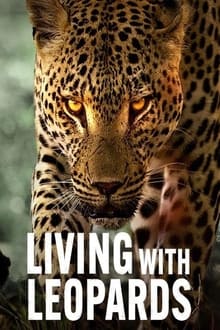 Avec les léopards sur Netflix
